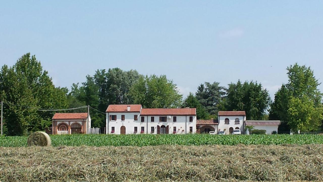 RoncoferraroLa Casa Delle Rondini住宿加早餐旅馆 外观 照片